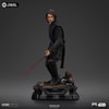 Anakin Skywalker (Prototype Shown) View 5