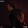 Anakin Skywalker (Prototype Shown) View 9
