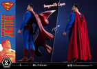 Superman (Prototype Shown) View 8