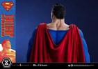 Superman (Prototype Shown) View 13