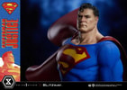 Superman (Prototype Shown) View 15