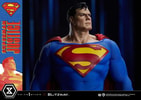 Superman (Prototype Shown) View 19