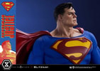 Superman (Prototype Shown) View 20