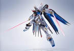 Strike Freedom Gundam (Prototype Shown) View 11