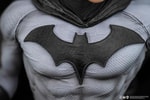 Batman & Catwoman Reunion (Prototype Shown) View 17