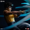 Yusuke Urameshi (Prototype Shown) View 3