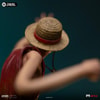Luffy (Prototype Shown) View 10
