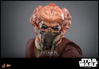 Plo Koon™ (Prototype Shown) View 5
