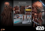 Plo Koon™ (Prototype Shown) View 21