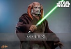 Saesee Tiin™ (Prototype Shown) View 1