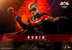Robin (Prototype Shown) View 1