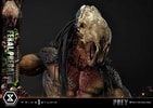 Feral Predator (Prototype Shown) View 20
