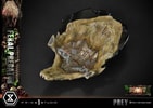 Feral Predator (Deluxe Bonus Version) (Prototype Shown) View 6