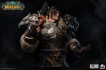 Varian Wrynn (Prototype Shown) View 5