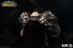 Varian Wrynn (Prototype Shown) View 7