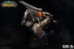 Varian Wrynn (Prototype Shown) View 8