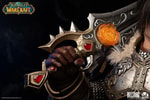 Varian Wrynn (Prototype Shown) View 9