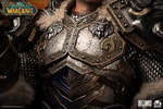 Varian Wrynn (Prototype Shown) View 10