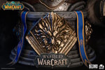 Varian Wrynn (Prototype Shown) View 14