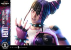 Juri (Prototype Shown) View 17