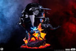 Darth Vader Fine Art (Prototype Shown) View 4