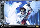 Pegasus Seiya "Final Bronze Cloth" (Prototype Shown) View 14