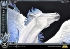 Pegasus Seiya "Final Bronze Cloth" (Prototype Shown) View 18