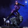 Catwoman (Purple Edition) (Prototype Shown) View 6