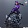 Catwoman (Purple Edition) (Prototype Shown) View 9