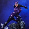 Catwoman (Purple Edition) (Prototype Shown) View 3