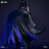 Batman (Prototype Shown) View 3