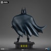 Batman (Prototype Shown) View 9