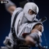 Storm Shadow (Prototype Shown) View 3