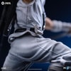 Storm Shadow (Prototype Shown) View 11