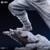 Storm Shadow (Prototype Shown) View 13