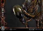 Dog Alien (Prototype Shown) View 19