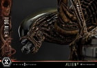 Dog Alien (Deluxe Version) (Prototype Shown) View 12