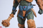 Man-at-Arms Legends (Prototype Shown) View 14