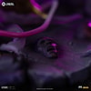 Cancer Deathmask (Prototype Shown) View 8