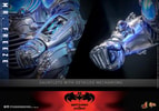 Mr. Freeze Collector Edition (Prototype Shown) View 17