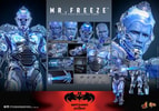Mr. Freeze Collector Edition (Prototype Shown) View 20
