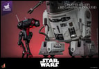 Chopper (C1-10P™) & BD-1™ (Imperial Disguise) (Prototype Shown) View 7