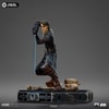 Anakin Skywalker (Prototype Shown) View 8