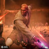 Mace Windu (Prototype Shown) View 3