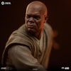 Mace Windu (Prototype Shown) View 5