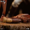 Mace Windu (Prototype Shown) View 7