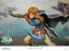 Tears of the Kingdom Link (Prototype Shown) View 3
