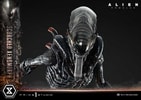 Scorched Xenomorph (Prototype Shown) View 11