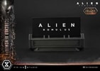Scorched Xenomorph (Deluxe Version) (Prototype Shown) View 12