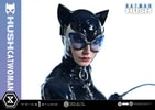 Catwoman (Prototype Shown) View 11